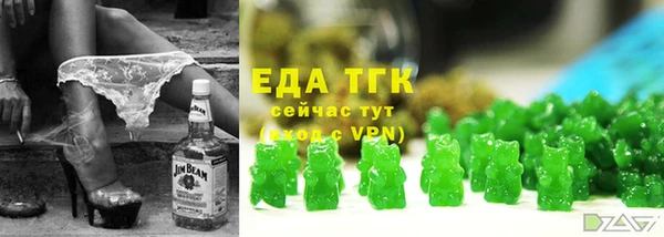 хмурый Гусев