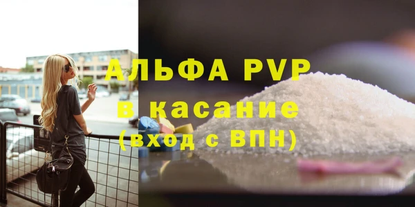 PSILOCYBIN Гусь-Хрустальный