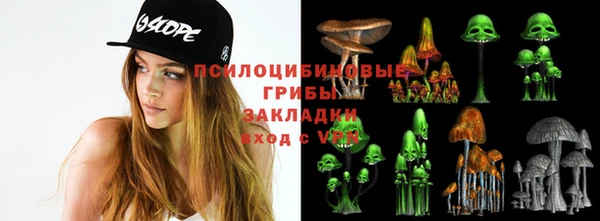 PSILOCYBIN Гусь-Хрустальный