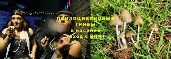хмурый Гусев