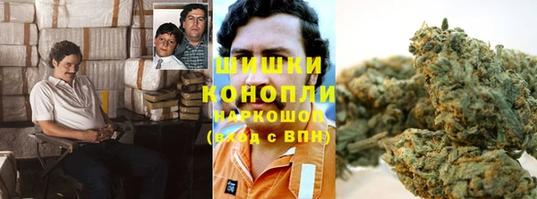 хмурый Гусев
