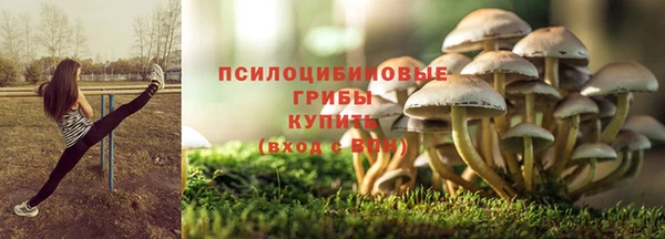 хмурый Гусев