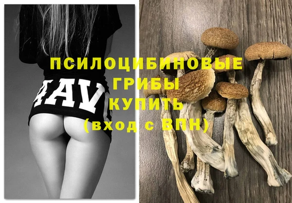 PSILOCYBIN Гусь-Хрустальный