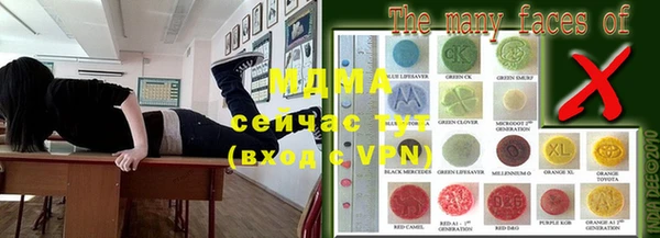 хмурый Гусев