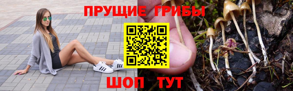Псилоцибиновые грибы мухоморы Мурманск